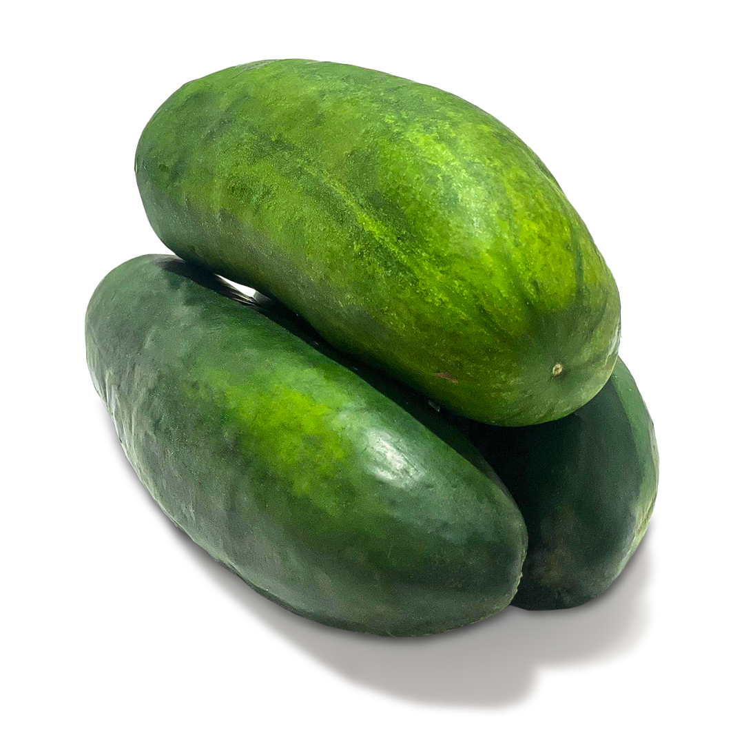 Cucumber