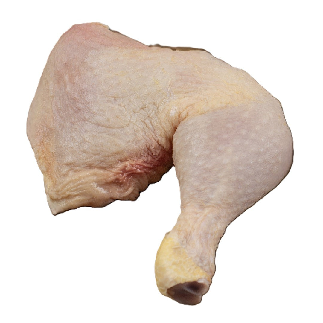 Turkey Laps