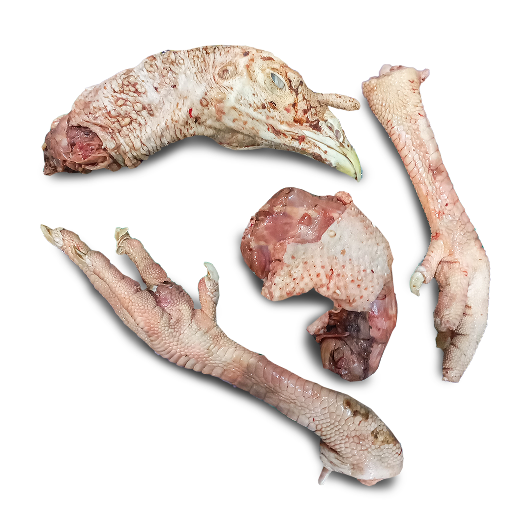 Turkey (Head + Neck+ 2 legs)
