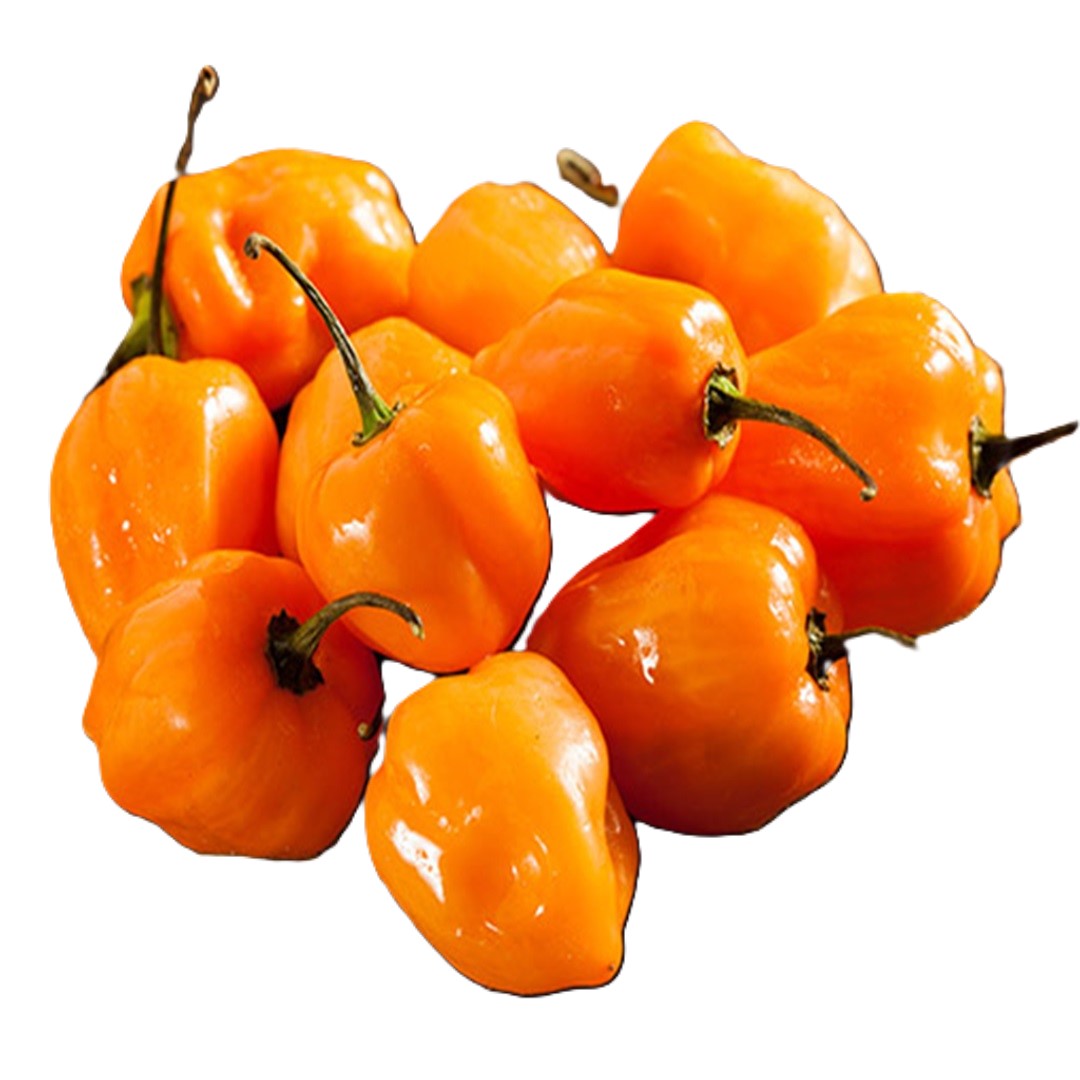 Habanero