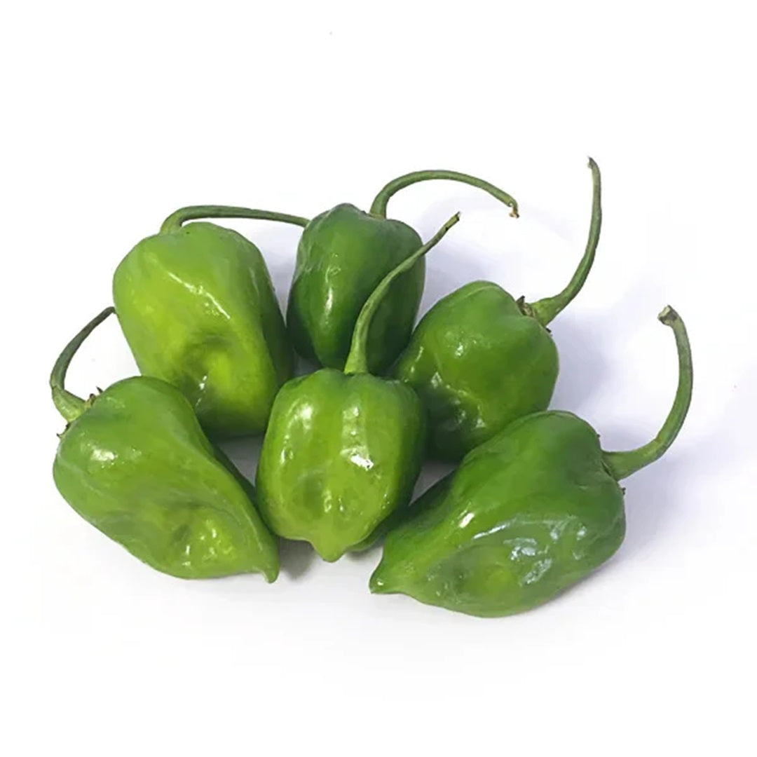 Habanero Pepper