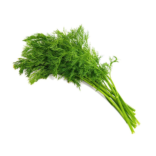 Fresh Dill