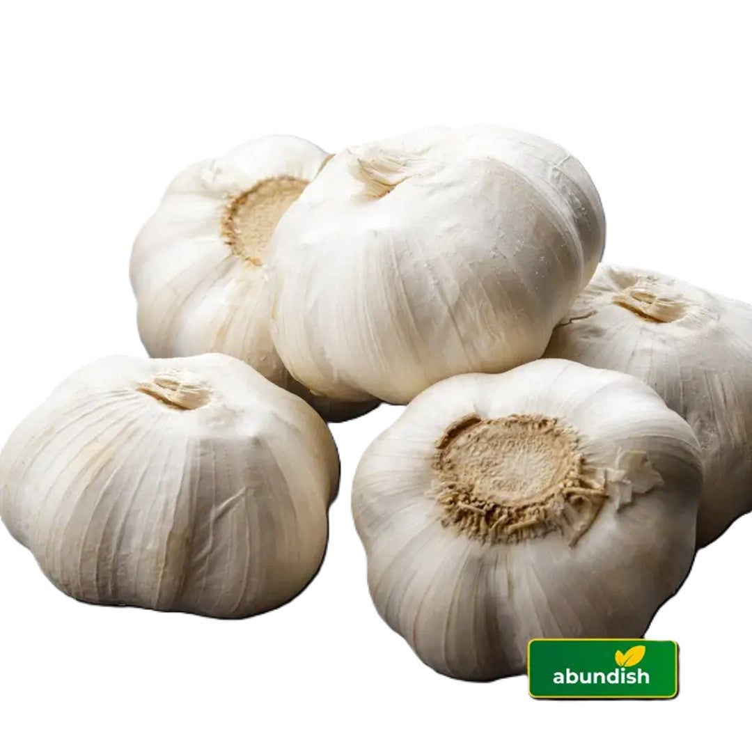 Garlic