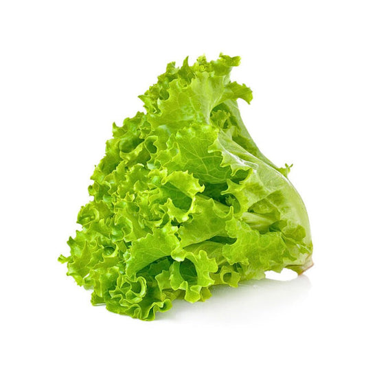 Lettuce