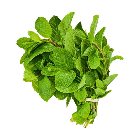 Scent Leaves