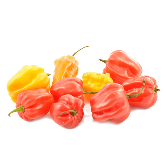 Pepper/Rodo