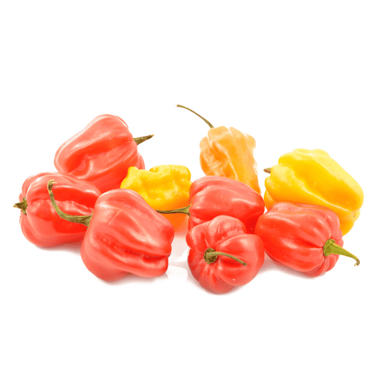 Fresh Pepper/Rodo