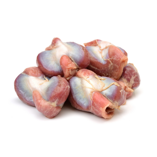 Turkey Gizzard