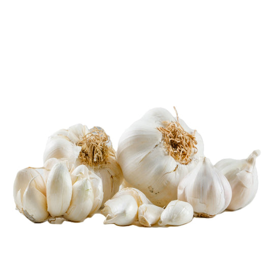 Garlic