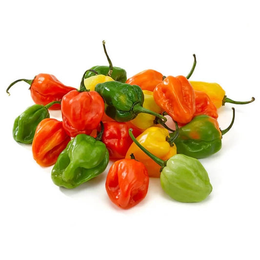 Habanero Pepper