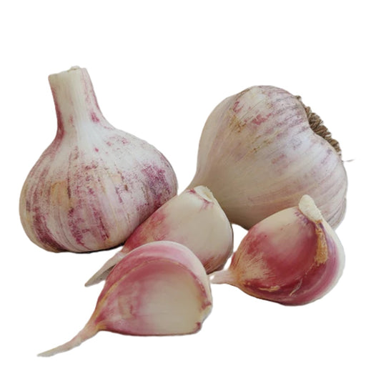 Local Garlic