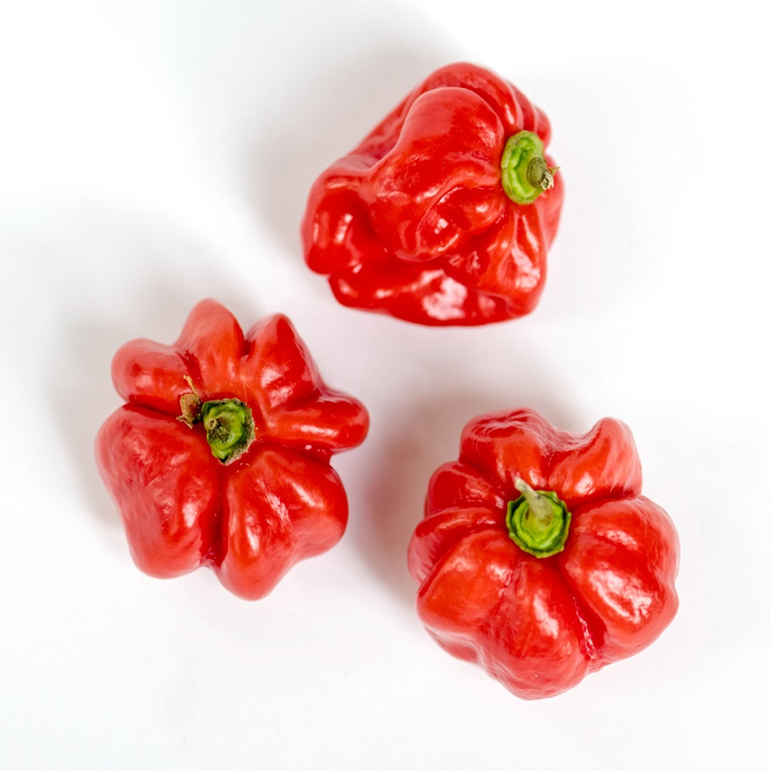 Fresh Pepper/Rodo