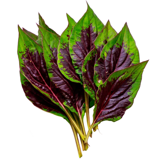 Shoko Leaf