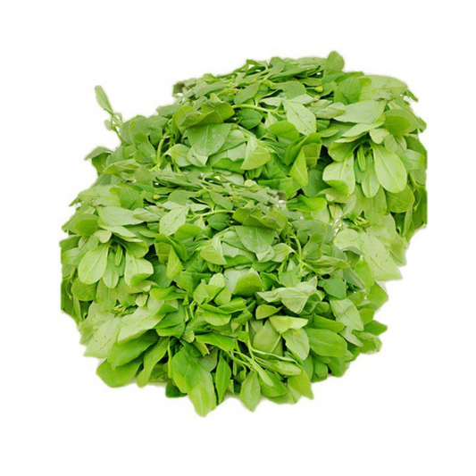 Waterleaf